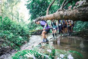 BIB: 
                            <button type="button" onclick="openModal(25465965)" class="btn btn-primary btn-sm float-right btn-popup" data-toggle="modal" data-target=".modal-high-quality">
                        <i class="fas fa-shopping-cart"></i> Add to Cart
                    </button>
                                            <button type="button" onclick="isThisMe(25465965, true)" class="btn btn-success btn-sm float-right btn-popup btn-isme hidden" data-toggle="tooltip" data-placement="bottom" title="นี่คือรูปของคุณใช่ไหม คลิกที่นี่เพื่อเอาเข้าอัลบั้ม">
                        <i class="fas fa-plus"></i> Add to album
                    </button>
                    <button type="button" onclick="isThisMe(25465965, false)" class="btn btn-warning btn-sm float-right btn-popup btn-isnotme hidden">
                        <i class="fas fa-ban"></i> Remove from album
                    </button>